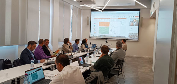 IRG-RAIL: MARKET MONITORING WORKING GROUP MEETING